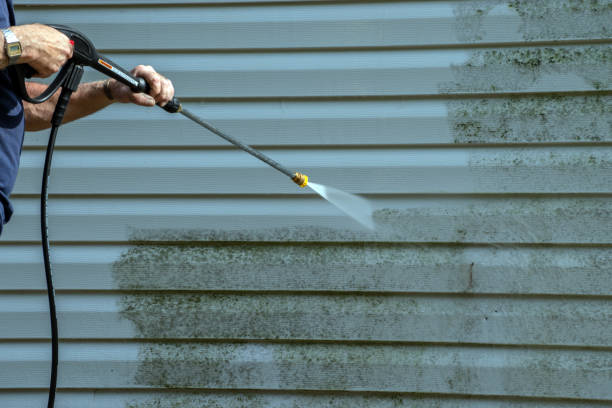 Best Roof Washing  in Roundup, MT